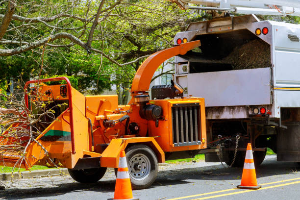 Best Tree and Shrub Care  in Buckeye Lake, OH